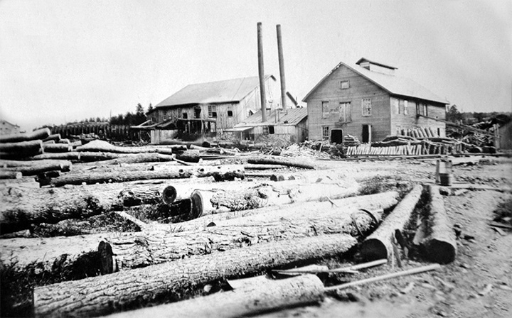 Stauffer’s Lumber Mill in Pocono Lake, Tobyhanna Township.